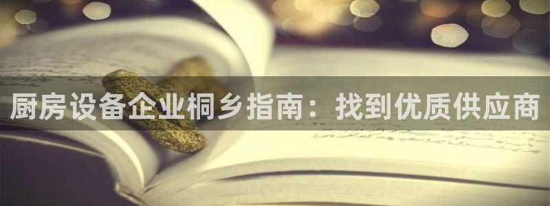 尊龙软件下载：厨房设备企业桐乡指南：找到优质供应商